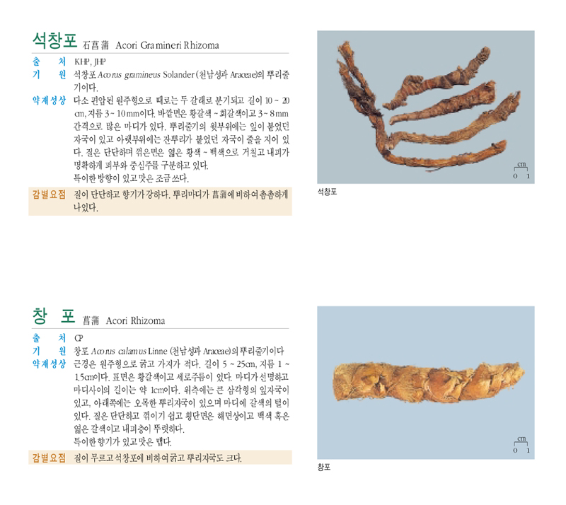 석창포(石菖蒲)