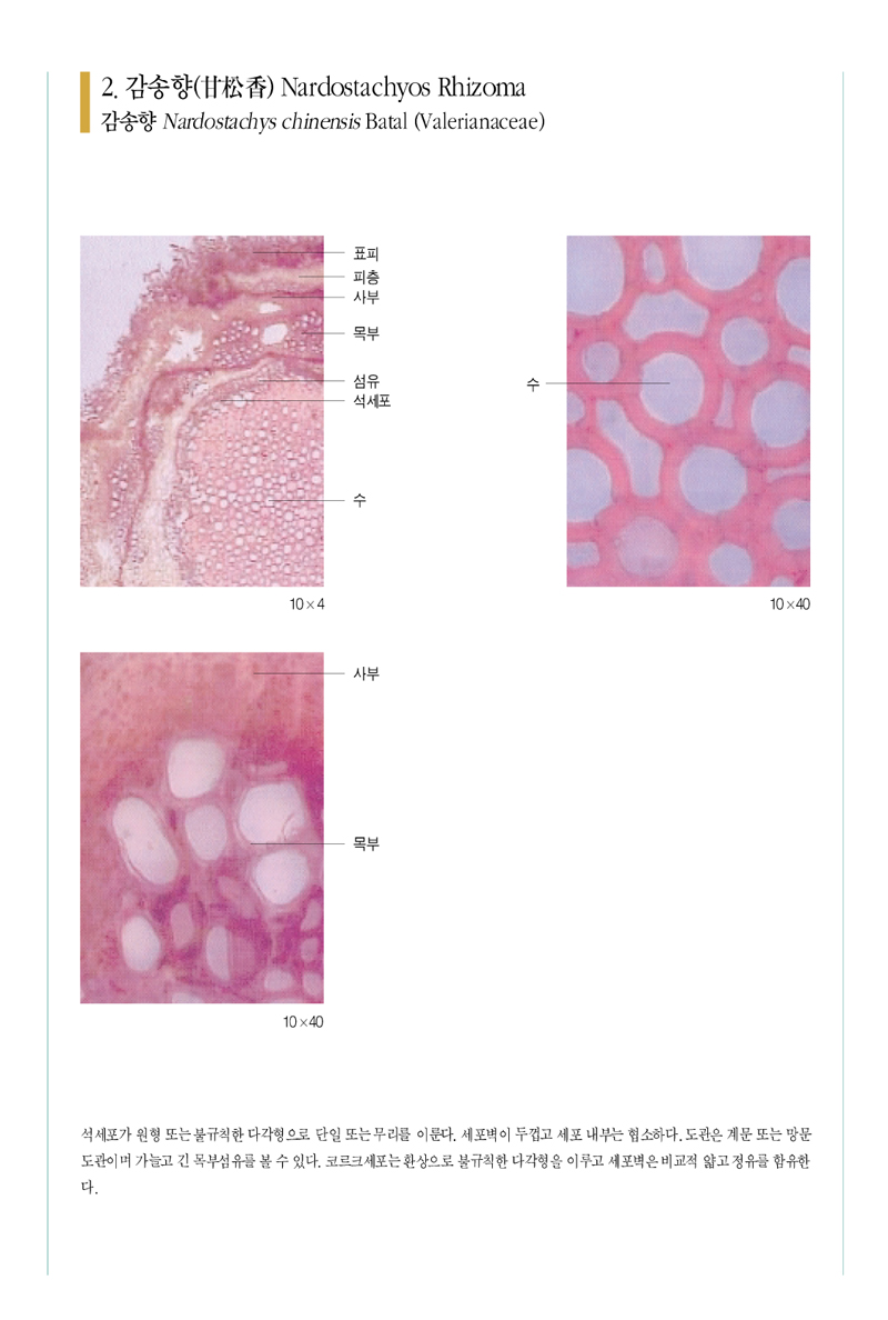 감송향(甘松香)