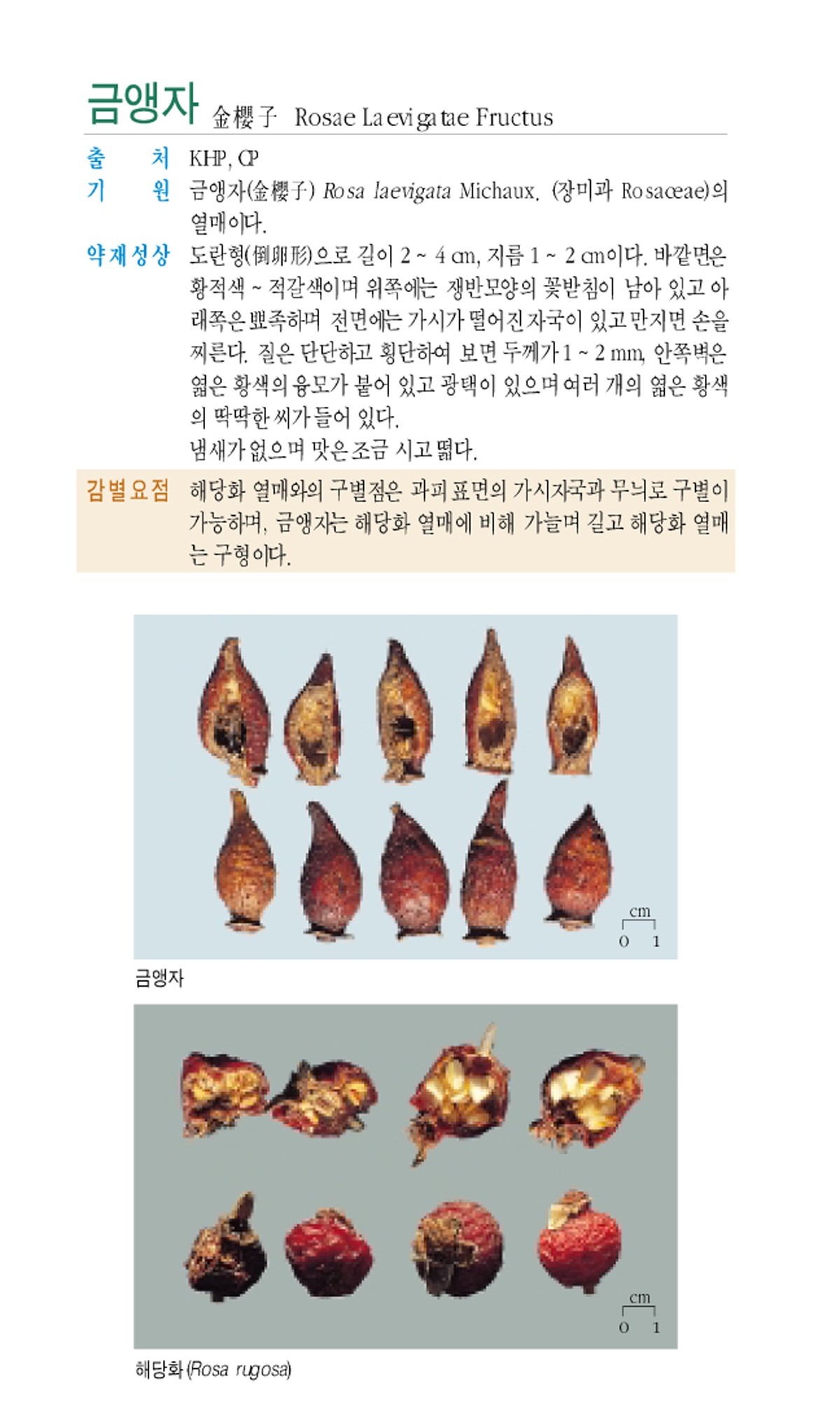 금앵자(金櫻子)