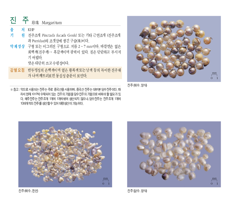 진주(眞珠)