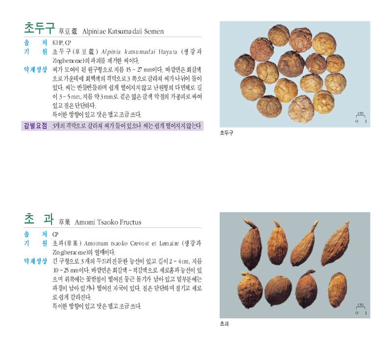 초과(草果)