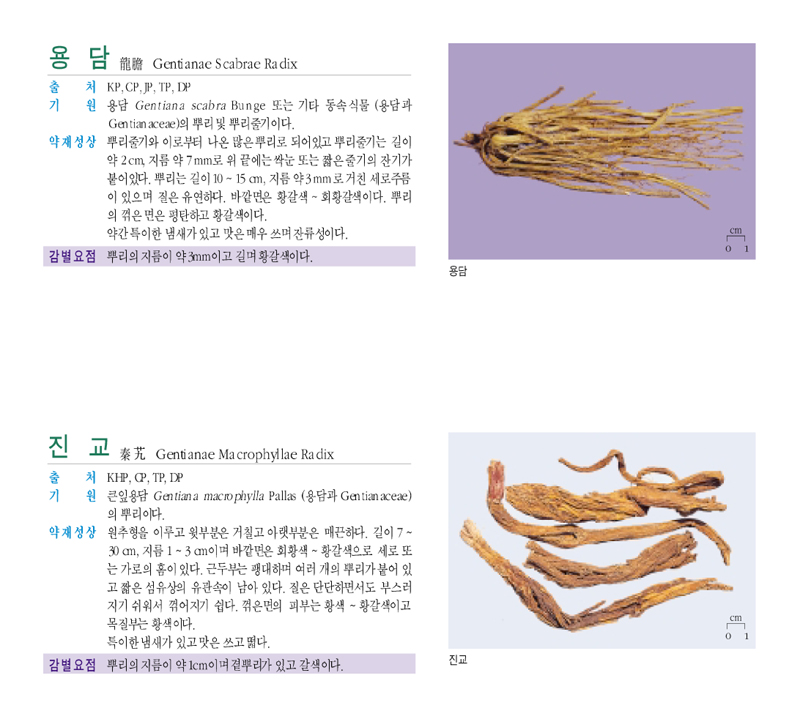 용담(龍膽)