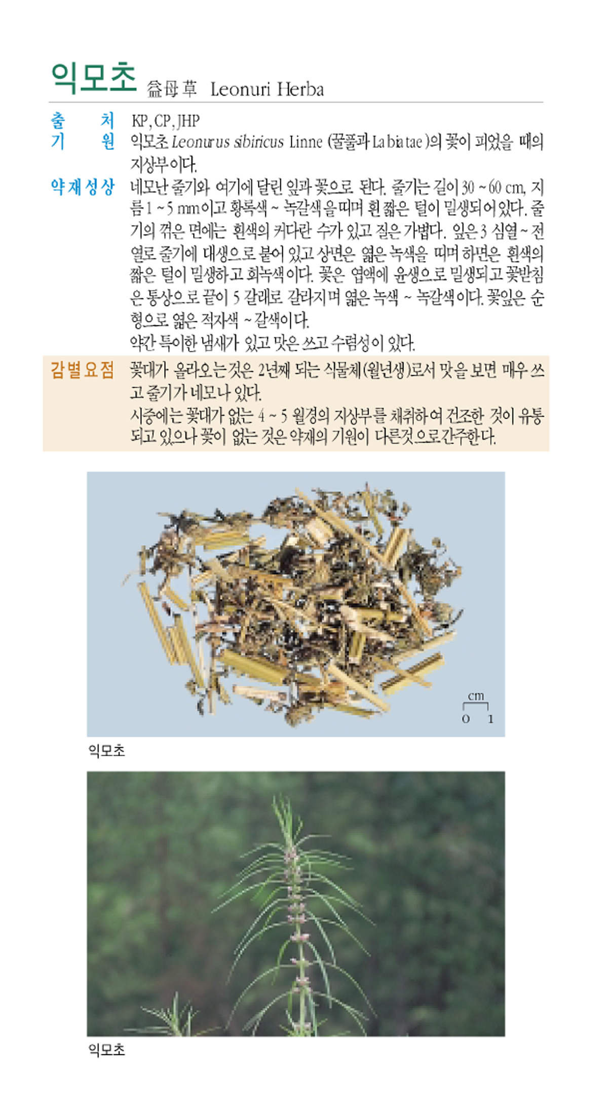 익모초(益母草)