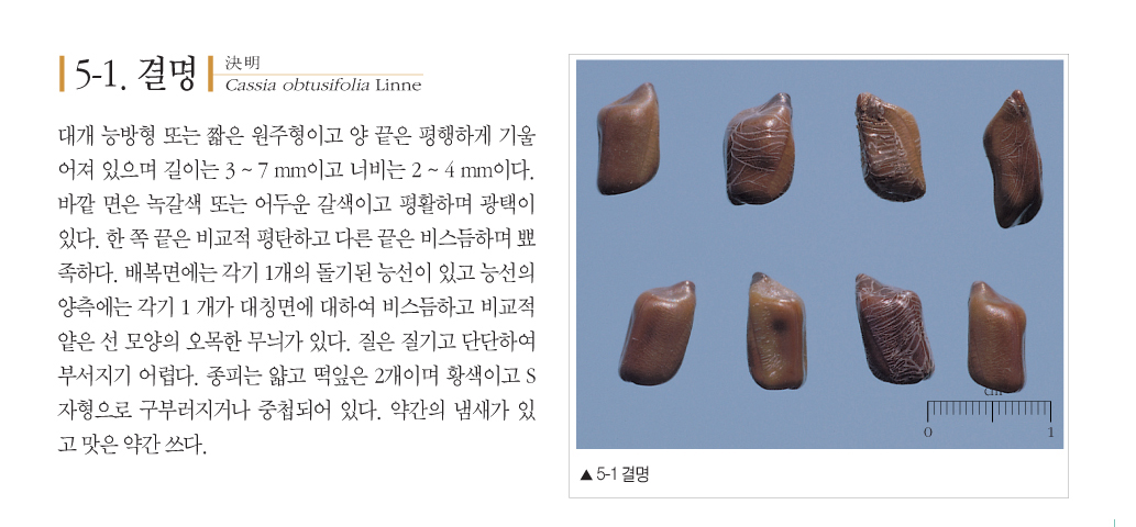 절패모(浙貝母)