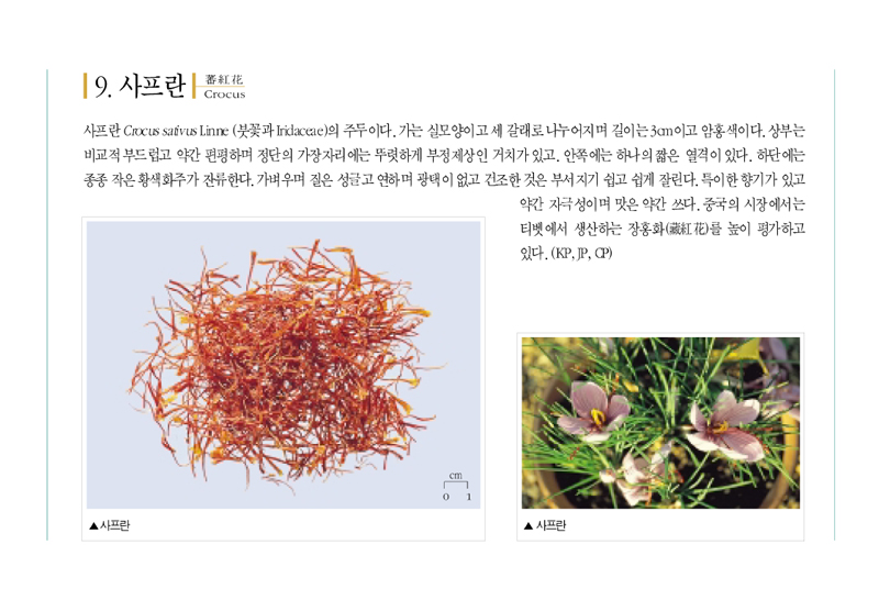 사프란(蕃紅花)