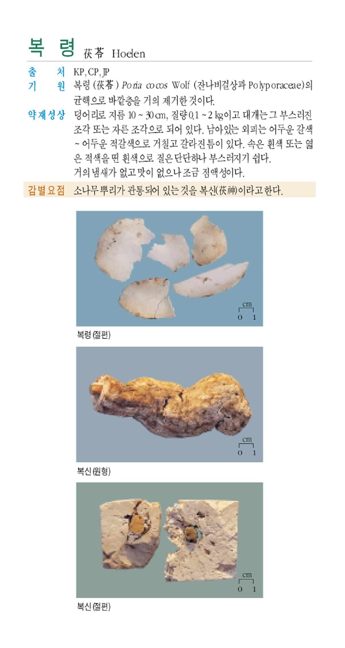 복령(茯?)