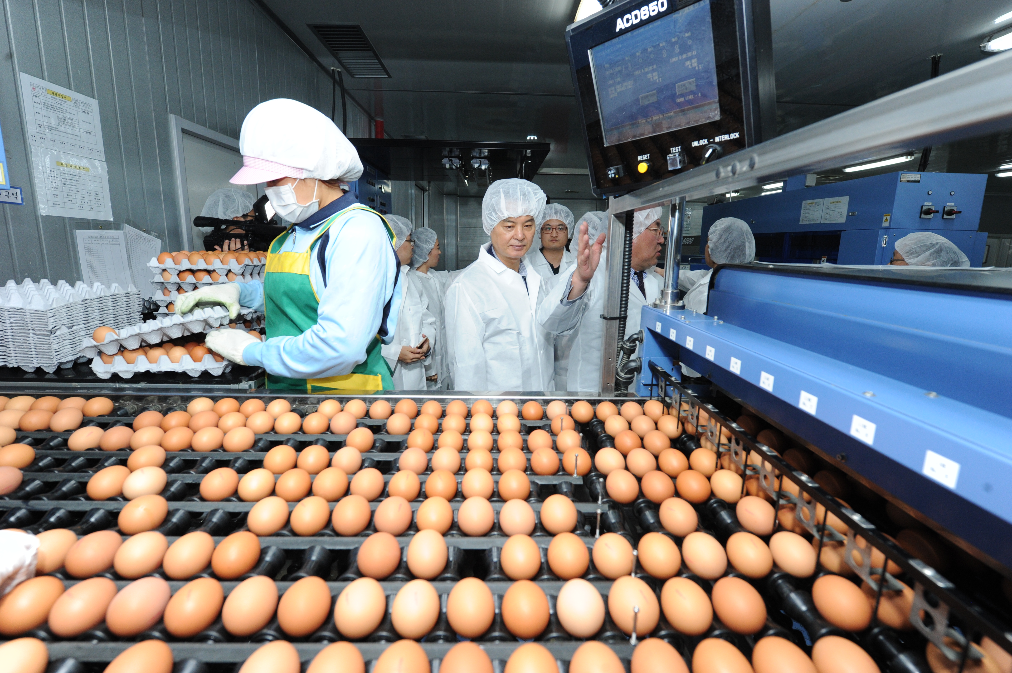 식약처, 계란 생산 · 수집 현장 방문