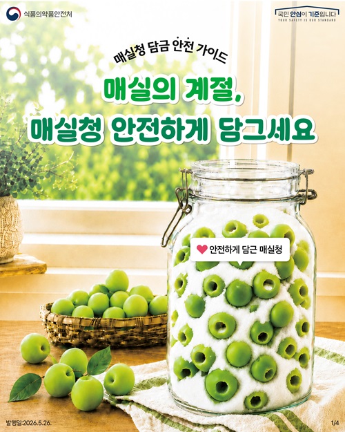 매실의 계절, 매실청 안전하게 담그세요.