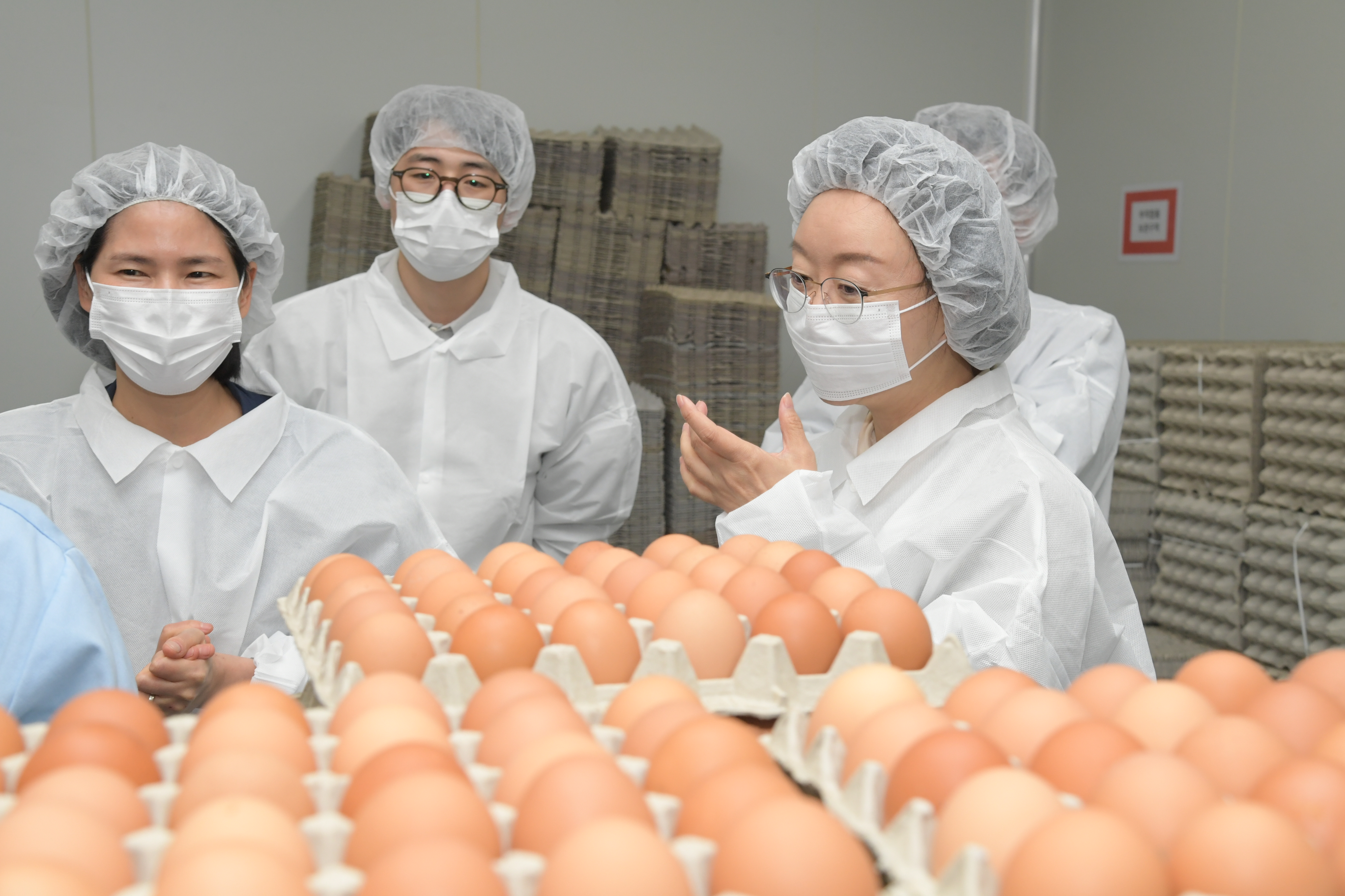 Photo News3 - Egg safety management site visit