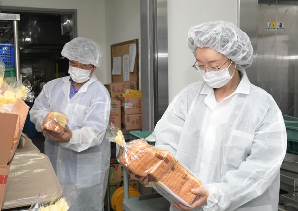 잼버리 대원용 대피 시설 식음료 안전관리 점검