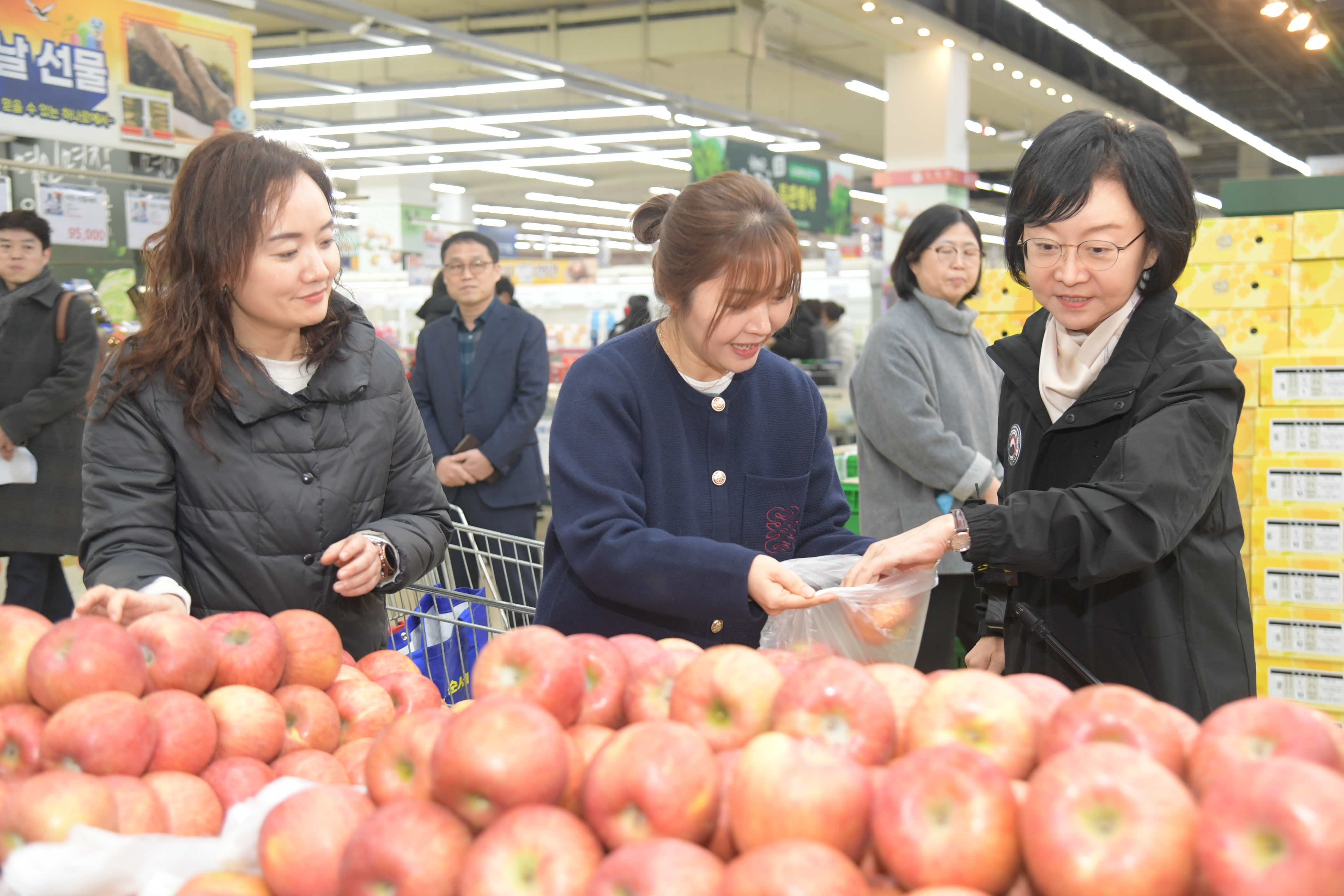 설 명절 식중독 예방 홍보