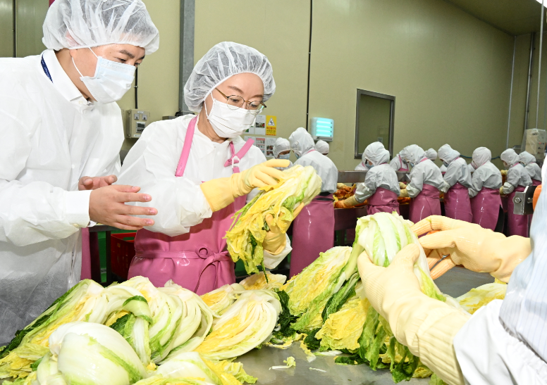 절임배추·마른김 업체 현장점검