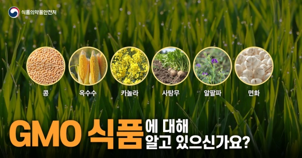 식품의약품안전처
콩 옥수수 카놀라 사탕무 알팔파 면화
GMO 식품에 대해 알고 있으신가요?