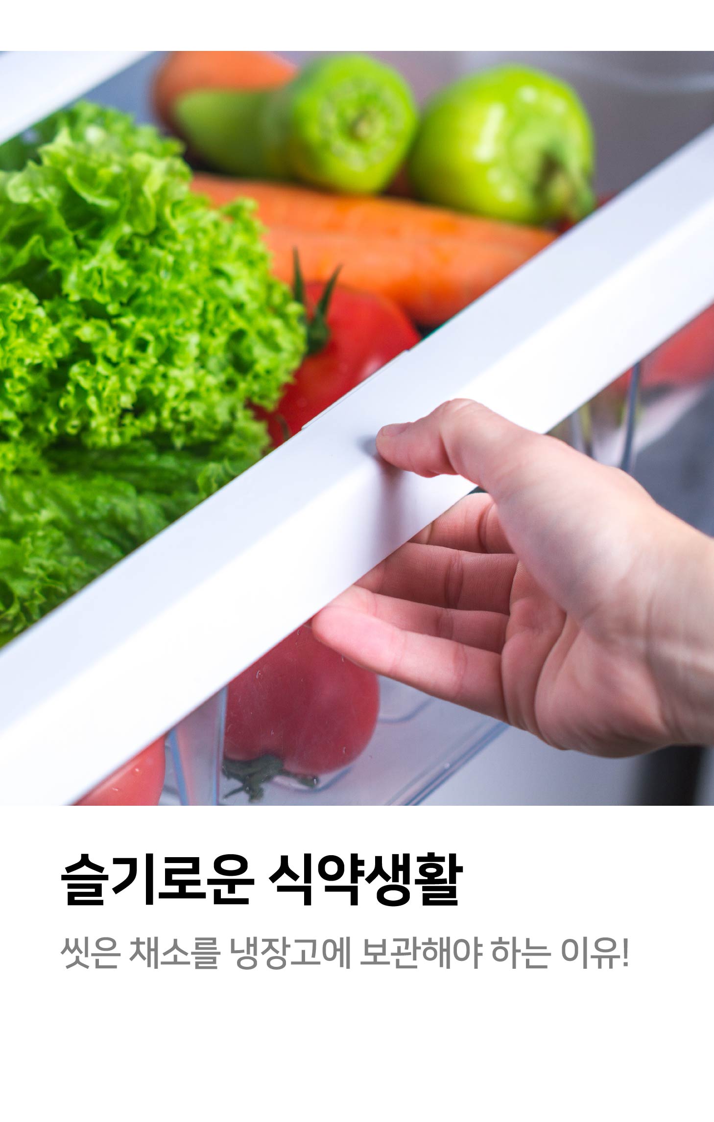 슬기로운 식약 생활 씻은 채소를 냉장고에 보관해야 하는 이유