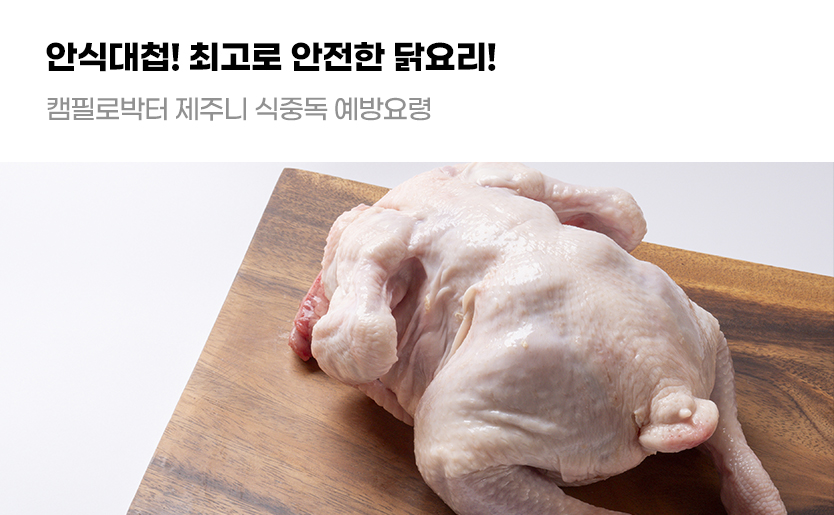 안식대첩! 최고로 안전한 닭요리! 캠필로박터 제주니 식중독 예방요령