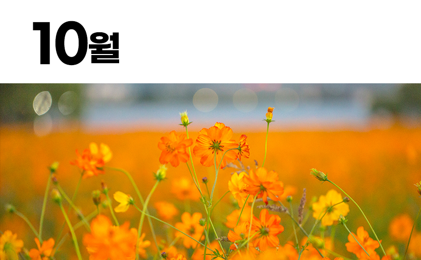 열린마루 10월호