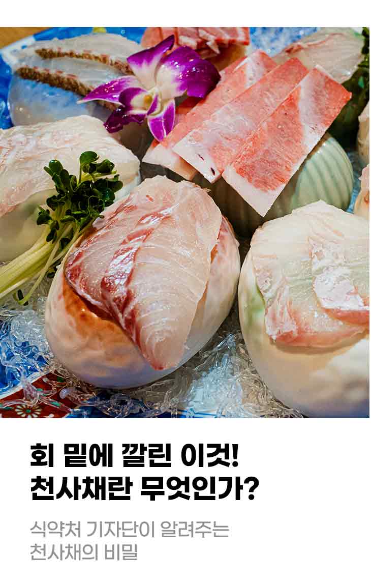 회 밑에 깔린 이것! 천사채란 무엇인가? 식약처 기자단이 알려주는 천사채의 비밀