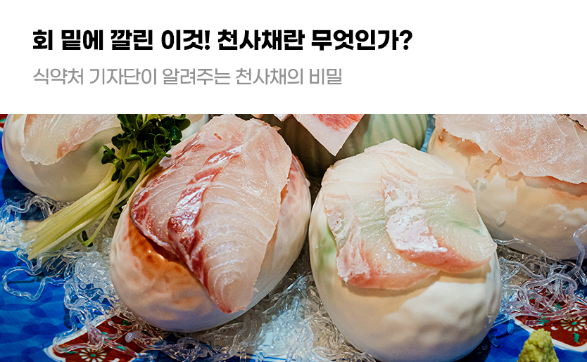 회 밑에 깔린 이것! 천사채란 무엇인가? 식약처 기자단이 알려주는 천사채의 비밀