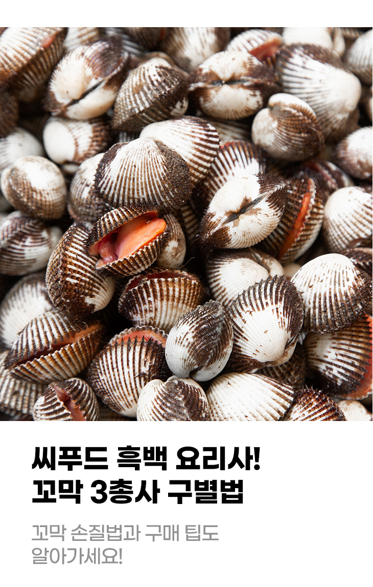 씨푸드 흑백요리사! 꼬막 3총사 구별법 꼬막 손질법과 구매 팁도 알아가세요!