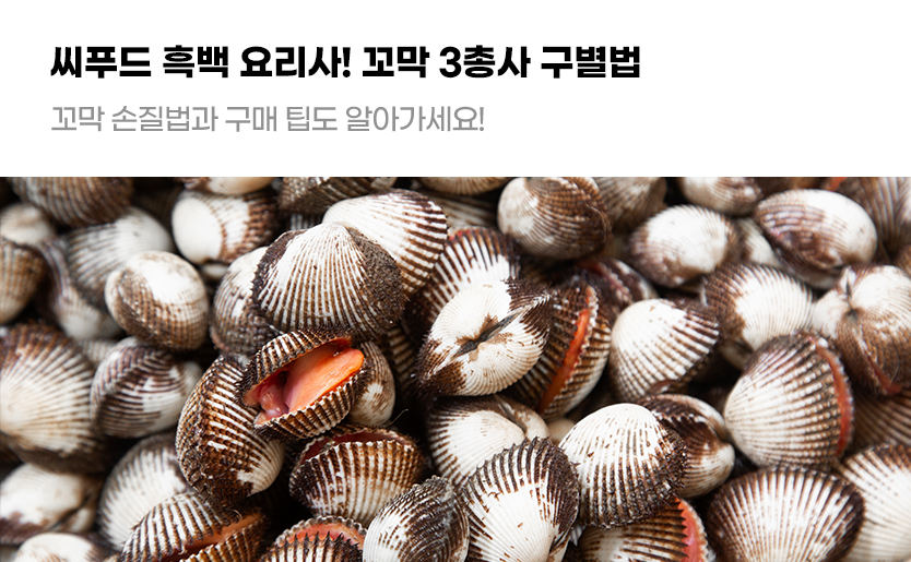 씨푸드 흑백요리사! 꼬막 3총사 구별법 꼬막 손질법과 구매 팁도 알아가세요!