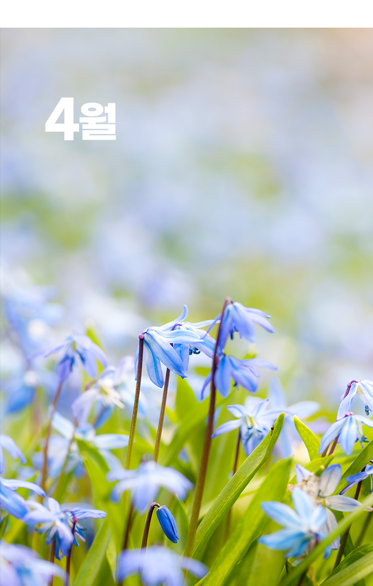 열린마루 2025년 4월