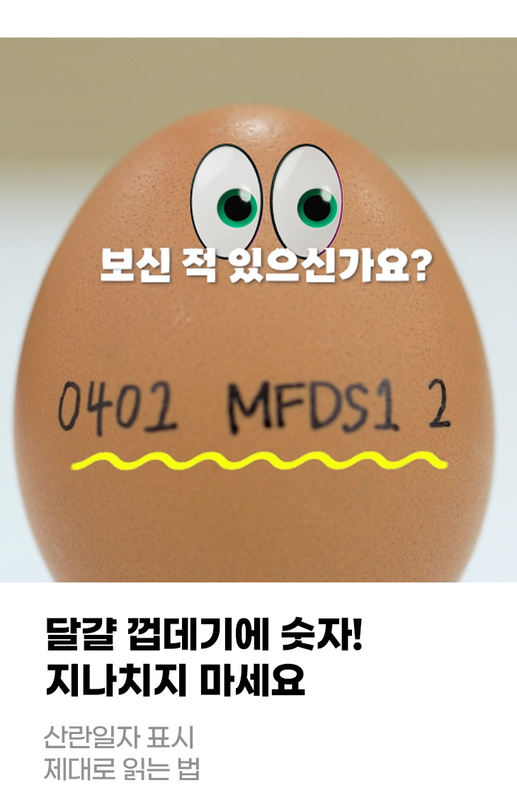 달걀 껍데기에 숫자! 지나치지 마세요 산란일자 표시 제대로 읽는 법