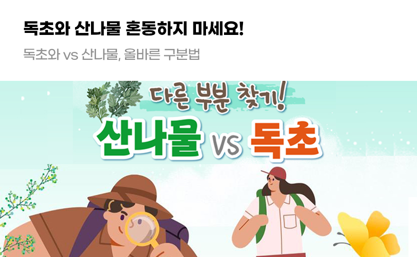 독초와 산나물 혼동하지 마세요! 독초와 vs 산나물, 올바른 구분법
