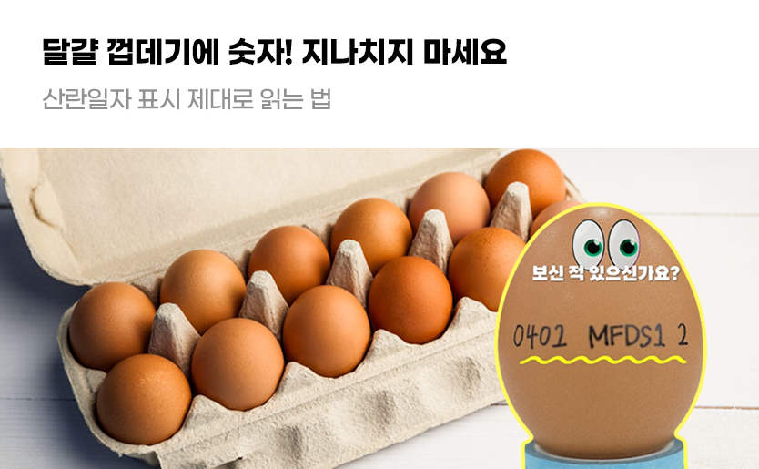 달걀 껍데기에 숫자! 지나치지 마세요 산란일자 표시 제대로 읽는 법